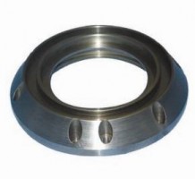 Hammer Mill Seal Ring nz