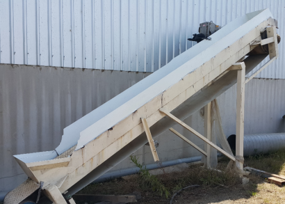 Belt transfer infeed conveyor to dryer nz